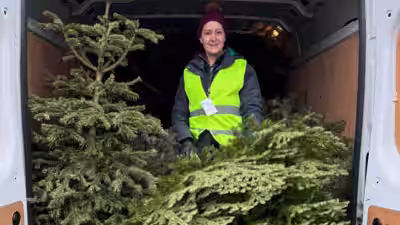 A UK charity collected 88,544 unwanted Christmas trees and recycled them into mulch, biomass and other uses, while the 2026 campaign raised £1.88 million for charities and helped support local communities